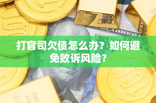北京打官司欠债怎么办？如何避免败诉风险？