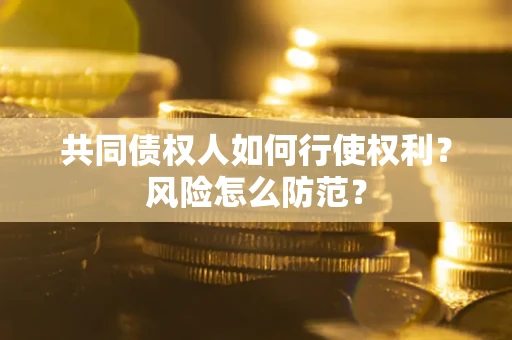 北京共同债权人如何行使权利？风险怎么防范？