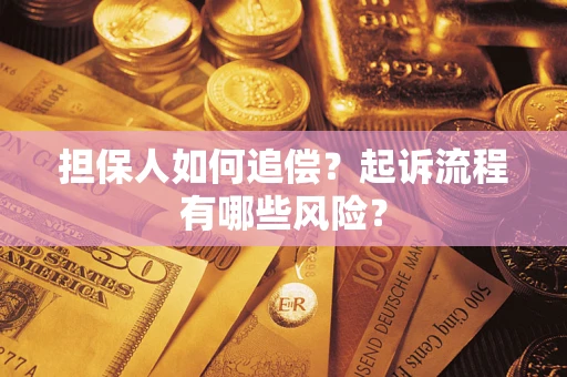 北京担保人如何追偿？起诉流程有哪些风险？