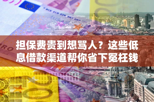 北京担保费贵到想骂人？这些低息借款渠道帮你省下冤枉钱