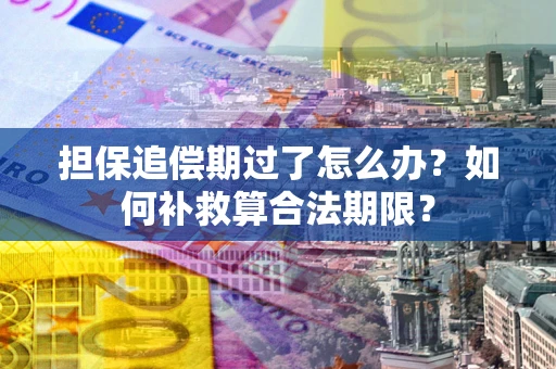 北京担保追偿期过了怎么办？如何补救算合法期限？