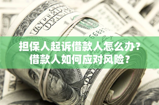 北京担保人起诉借款人怎么办？借款人如何应对风险？
