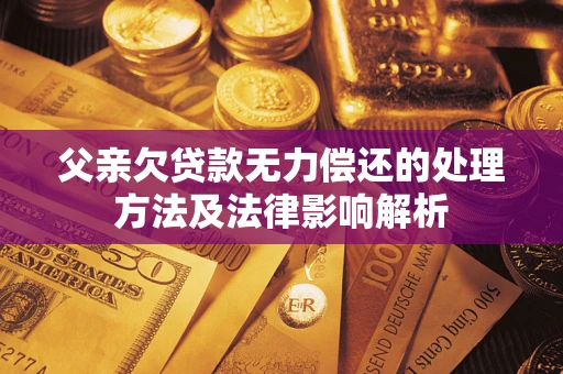 北京父亲欠贷款无力偿还的处理方法及法律影响解析