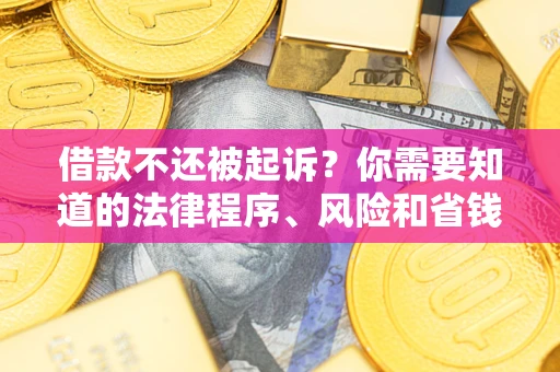 北京借款不还被起诉？你需要知道的法律程序、风险和省钱技巧